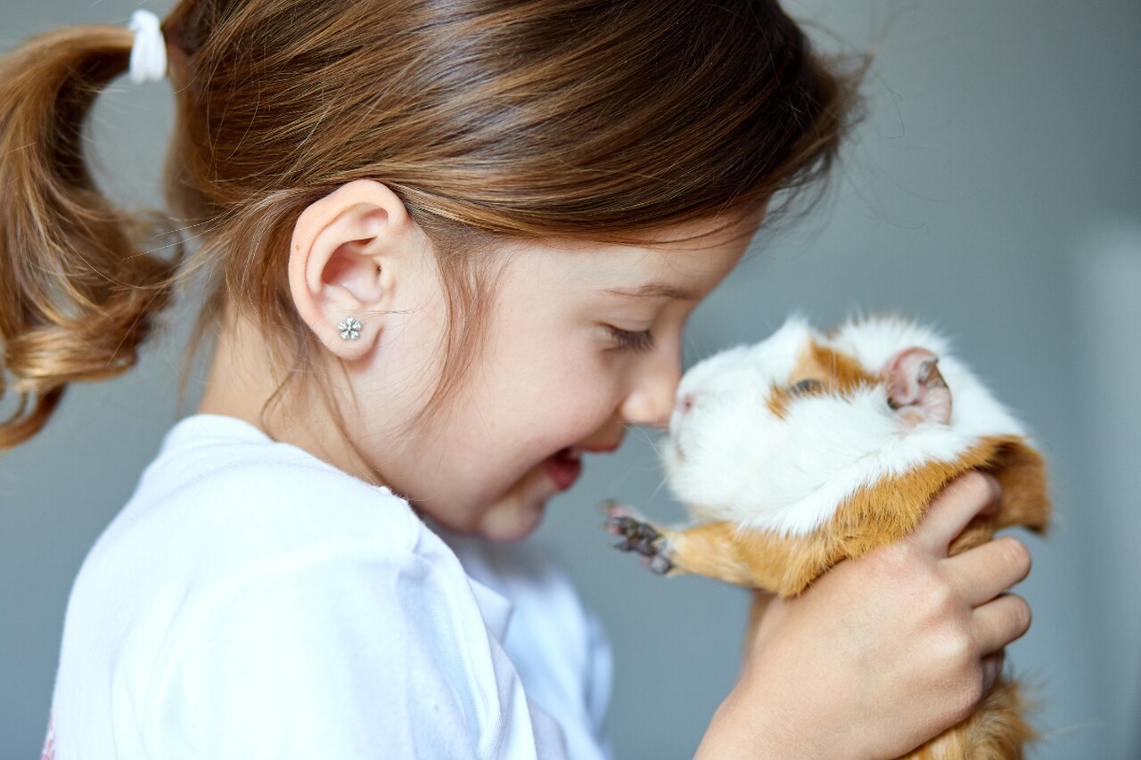 Meerschweinchen Kinder